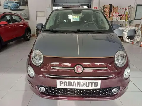 Used FIAT 500 Petrol 2019 Ad 