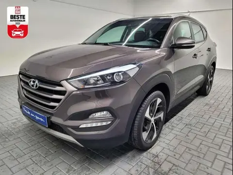 Used HYUNDAI TUCSON Diesel 2017 Ad 