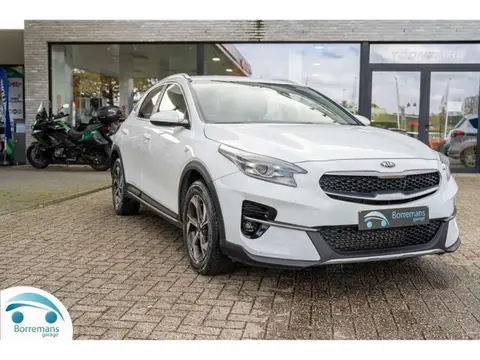 Annonce KIA XCEED Essence 2021 d'occasion 