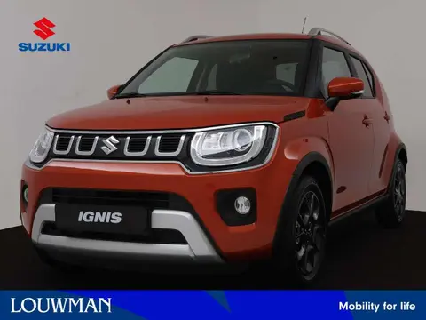 Used SUZUKI IGNIS Hybrid 2024 Ad 