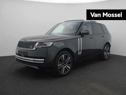 Annonce LAND ROVER RANGE ROVER Essence 2024 d'occasion 