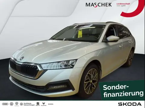 Annonce SKODA OCTAVIA Essence 2023 d'occasion 