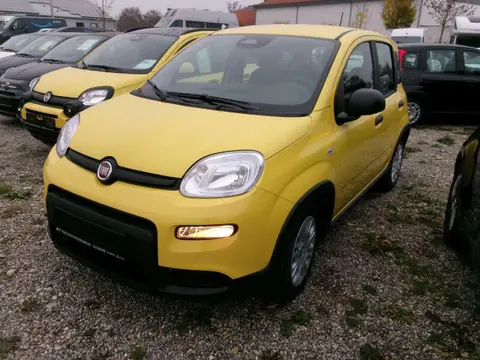 Annonce FIAT PANDA Essence 2024 d'occasion 