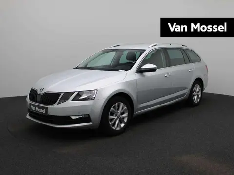 Annonce SKODA OCTAVIA Diesel 2020 d'occasion 