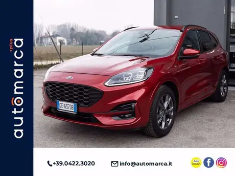 Used FORD KUGA Petrol 2021 Ad 