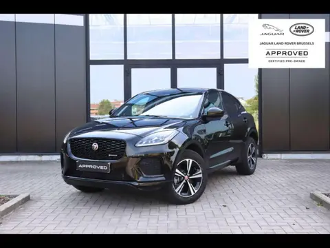 Annonce JAGUAR E-PACE Hybride 2024 d'occasion 