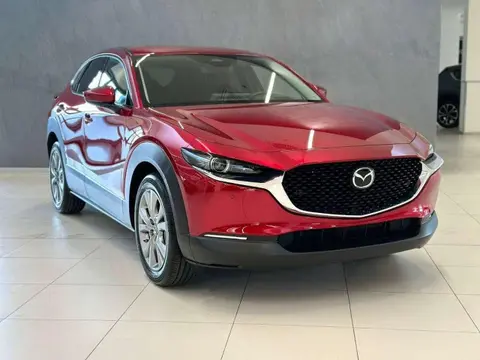 Annonce MAZDA CX-30 Hybride 2024 d'occasion 