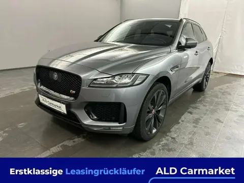 Used JAGUAR F-PACE Diesel 2019 Ad 