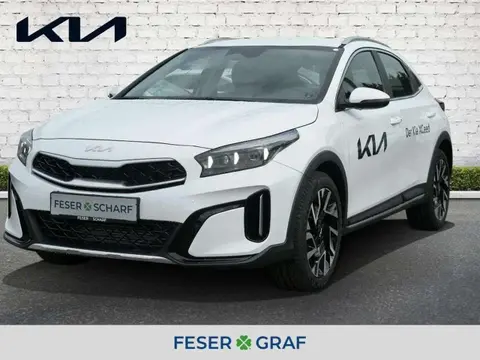 Annonce KIA XCEED Essence 2024 d'occasion 