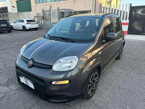 Used FIAT PANDA Hybrid 2021 Ad 