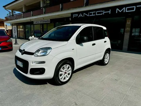 Used FIAT PANDA  2018 Ad 