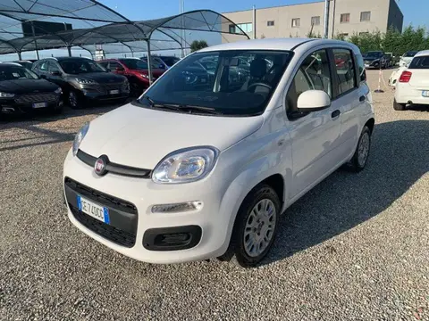 Annonce FIAT PANDA Essence 2021 d'occasion 