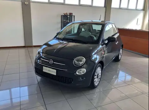 Used FIAT 500 Petrol 2019 Ad 