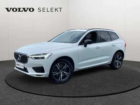 Used VOLVO XC60 Diesel 2020 Ad 