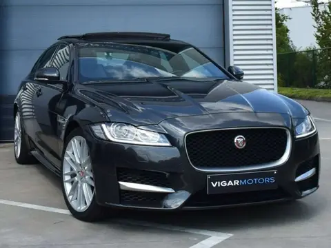 Used JAGUAR XF Diesel 2017 Ad 