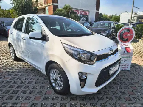 Annonce KIA PICANTO GPL 2021 d'occasion 