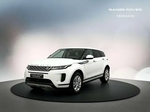 Used LAND ROVER RANGE ROVER EVOQUE Hybrid 2022 Ad 