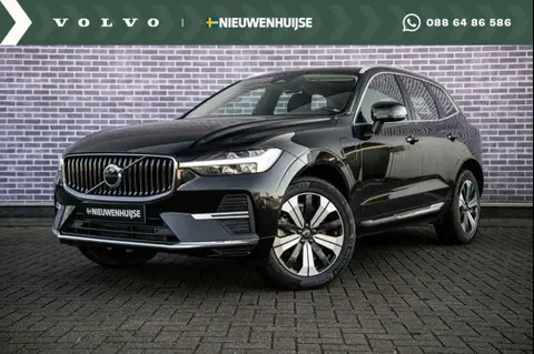 Used VOLVO XC60 Hybrid 2023 Ad 