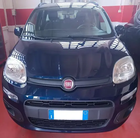 Used FIAT PANDA Petrol 2019 Ad 