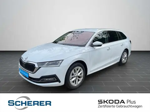 Annonce SKODA OCTAVIA Essence 2023 d'occasion 