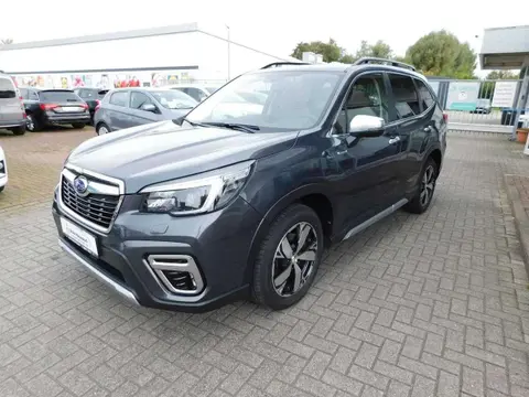 Used SUBARU FORESTER Petrol 2021 Ad 