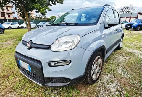 Used FIAT PANDA Hybrid 2022 Ad 