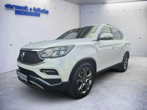 Used SSANGYONG REXTON Diesel 2019 Ad 