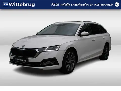 Annonce SKODA OCTAVIA Hybride 2021 d'occasion 