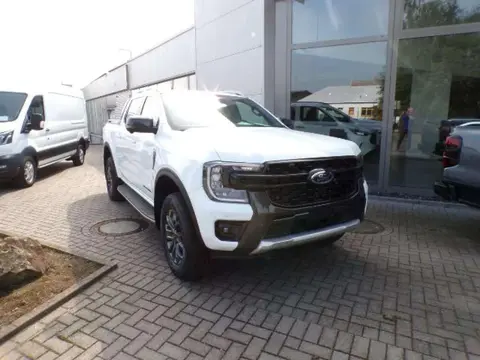 Annonce FORD RANGER Diesel 2024 d'occasion 