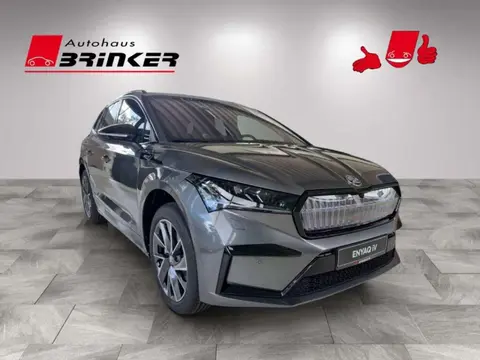 Used SKODA ENYAQ Electric 2024 Ad 