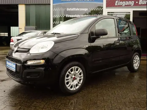 Used FIAT PANDA Petrol 2021 Ad 