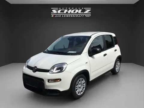 Annonce FIAT PANDA Essence 2024 d'occasion 