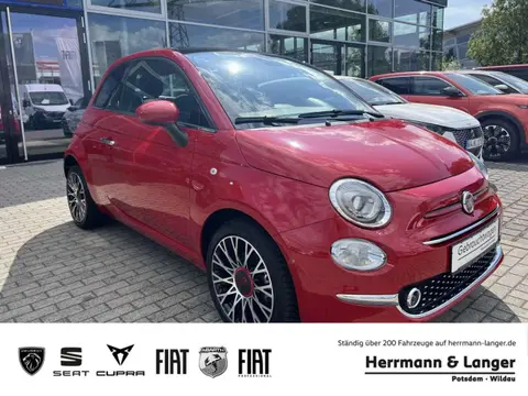 Used FIAT 500 Petrol 2023 Ad 