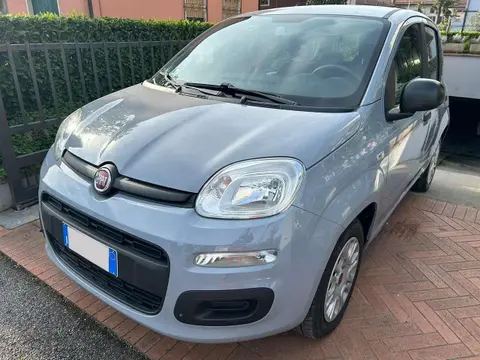 Used FIAT PANDA Petrol 2017 Ad 