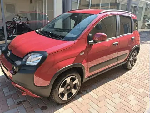 Annonce FIAT PANDA Hybride 2024 d'occasion 