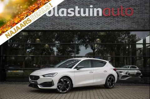 Used CUPRA LEON Petrol 2023 Ad 