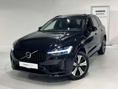 Used VOLVO XC60 Hybrid 2024 Ad 