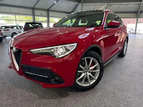 Used ALFA ROMEO STELVIO Diesel 2021 Ad 