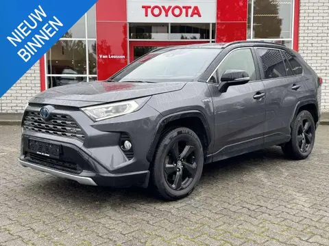 Used TOYOTA RAV4 Hybrid 2020 Ad 