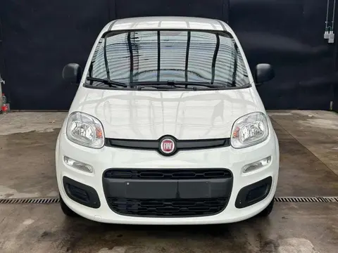 Used FIAT PANDA Petrol 2019 Ad 