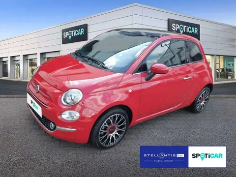 Used FIAT 500 Petrol 2023 Ad 