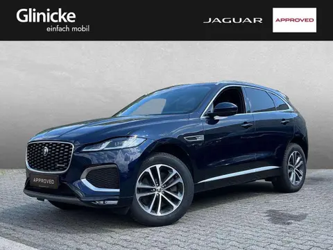 Used JAGUAR F-PACE Hybrid 2023 Ad 