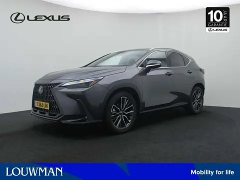 Used LEXUS NX Hybrid 2023 Ad 