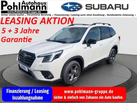 Used SUBARU FORESTER Petrol 2024 Ad 