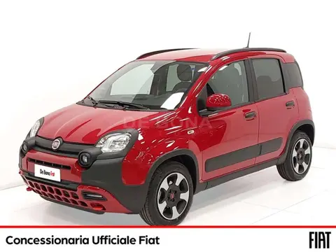 Annonce FIAT PANDA Hybride 2024 d'occasion 