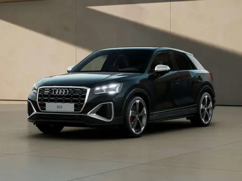 Annonce AUDI SQ2 Essence 2024 d'occasion 