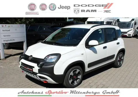 Annonce FIAT PANDA Essence 2024 d'occasion 