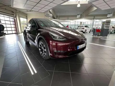 Annonce TESLA MODEL Y Électrique 2023 d'occasion 