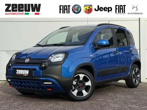 Used FIAT PANDA Petrol 2024 Ad 