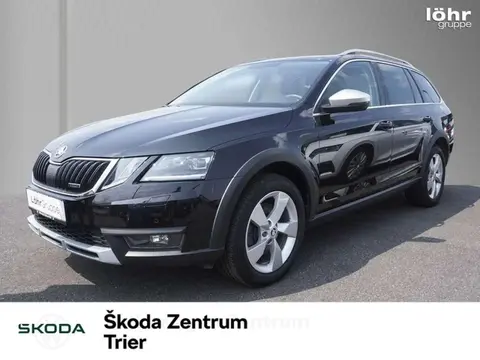 Used SKODA OCTAVIA Diesel 2019 Ad 